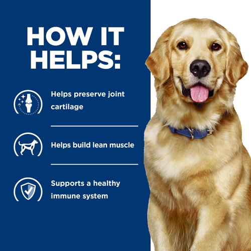 Hills PD Canine J/D
