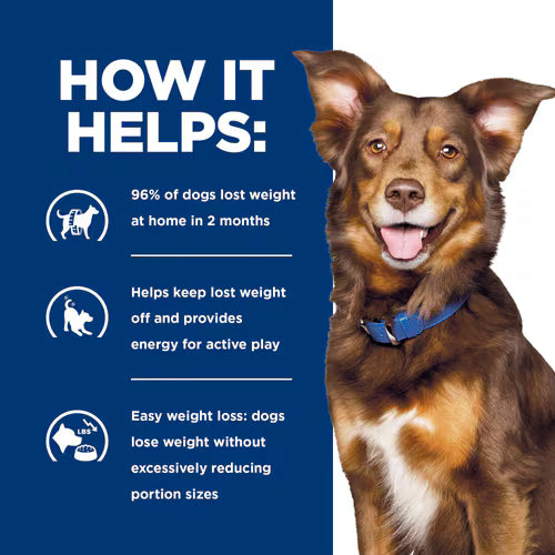 Hill's Metabolic Canine