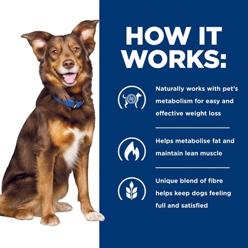 Hill's Metabolic Canine