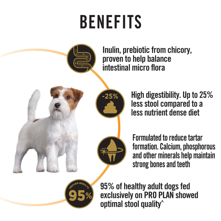 PRO PLAN Adult Small & Mini Dog