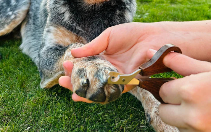 Thirsty Dog - Hairy Nail Scissors