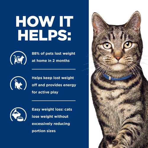 Hills PD Feline Metabolic