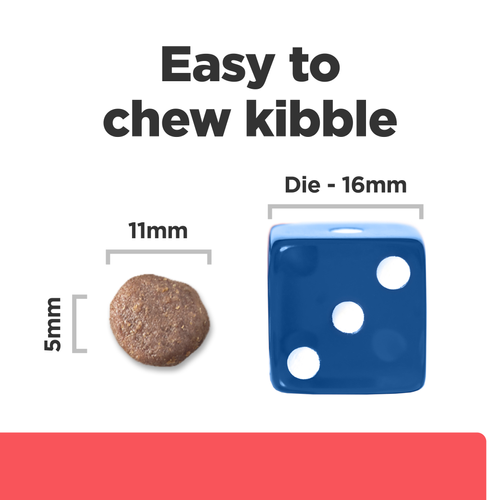 Hills ONC Care with Chicken Dry Dog