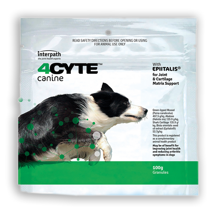 4CYTE™ Granules for Dogs