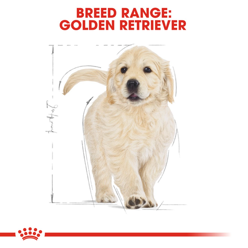 Royal Canin | Golden Retriever Junior
