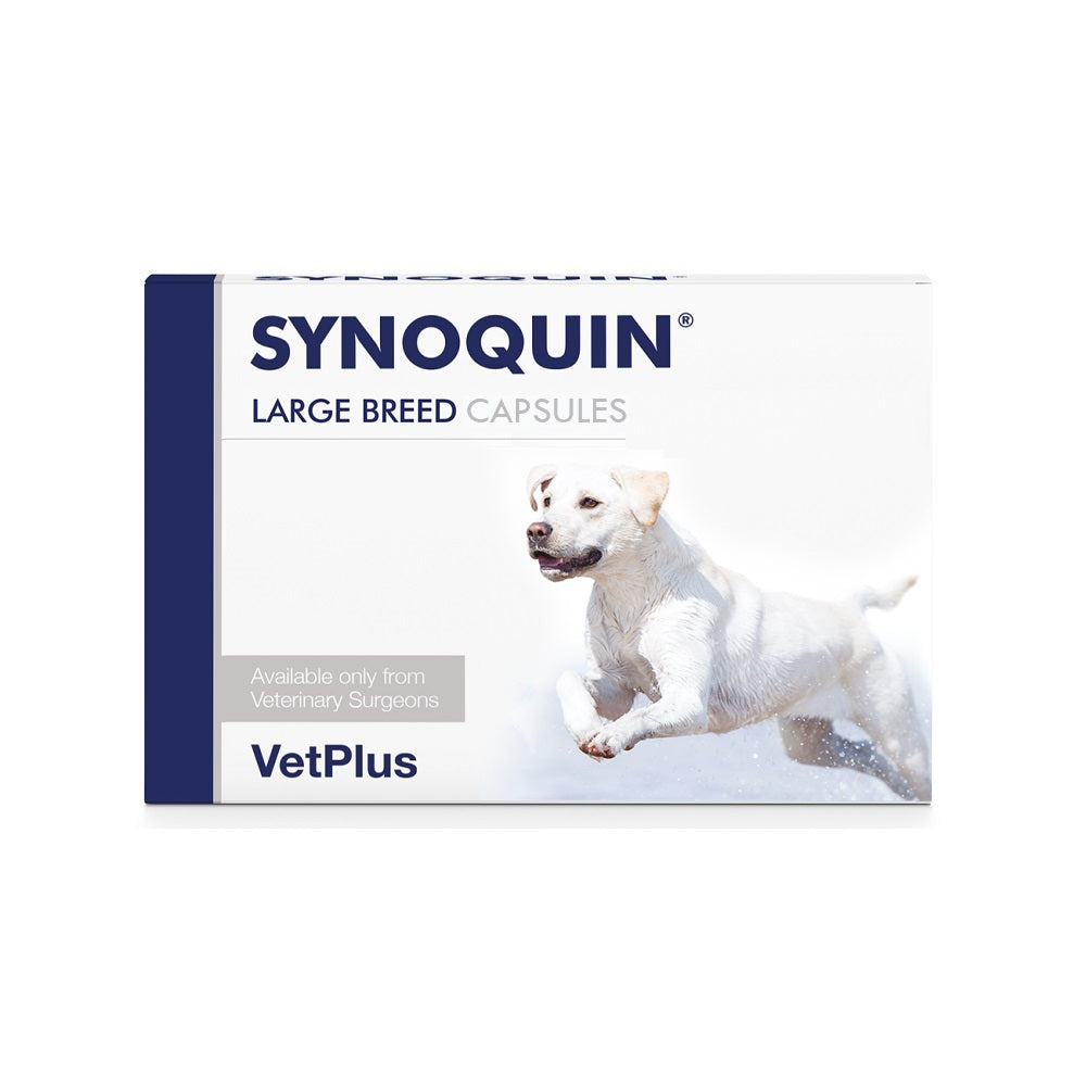 Synoquin EFA for Dogs
