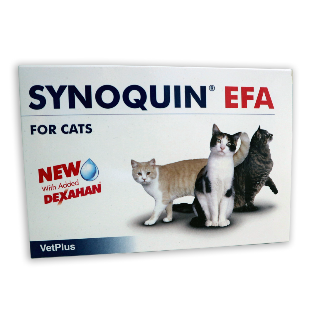 Synoquin EFA for Cats
