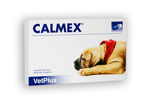 CALMEX for Dogs – At The Vets