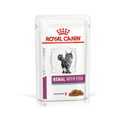Royal Canin Renal with Fish